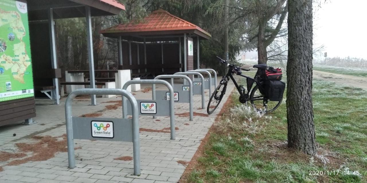 Bialowieza Spanie Na Sianie Puszcza Bialowieska Dubicze Cerkiewne Eksteriør billede